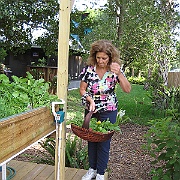 Picture 033